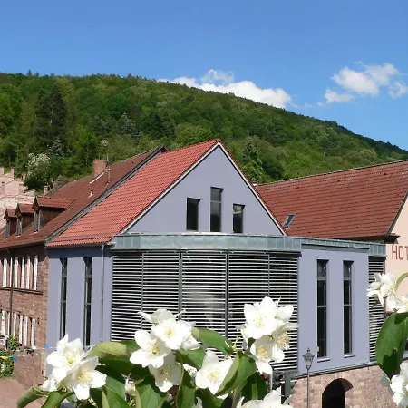Fraenkischer Gasthof-hotel Zum Koppen 3* Gemunden am Main