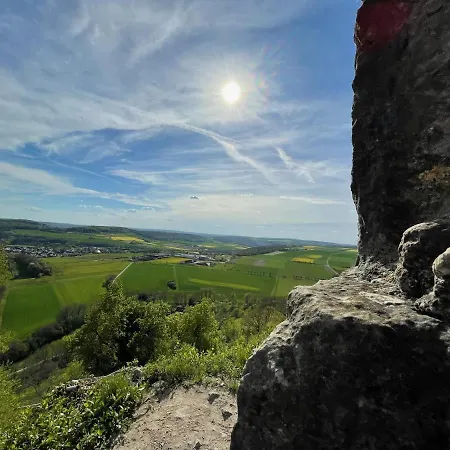 Fraenkischer Gasthof-hotel Zum Koppen 3* Gemunden am Main